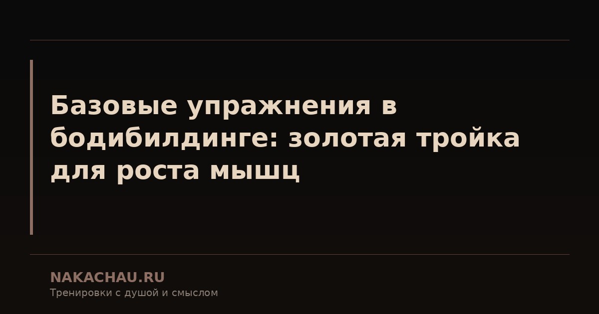 базовые упражнения