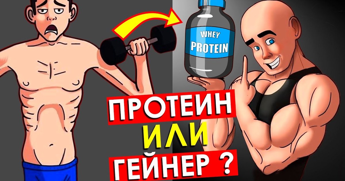 гейнер или протеин что лучше