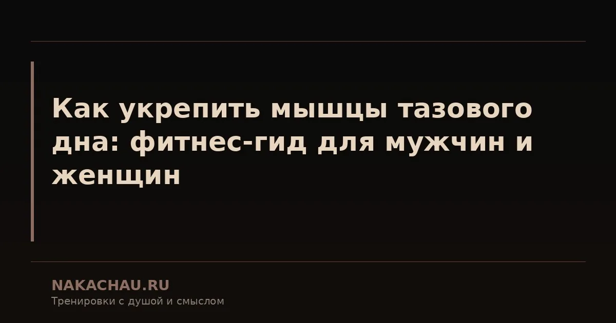 мышцы дна