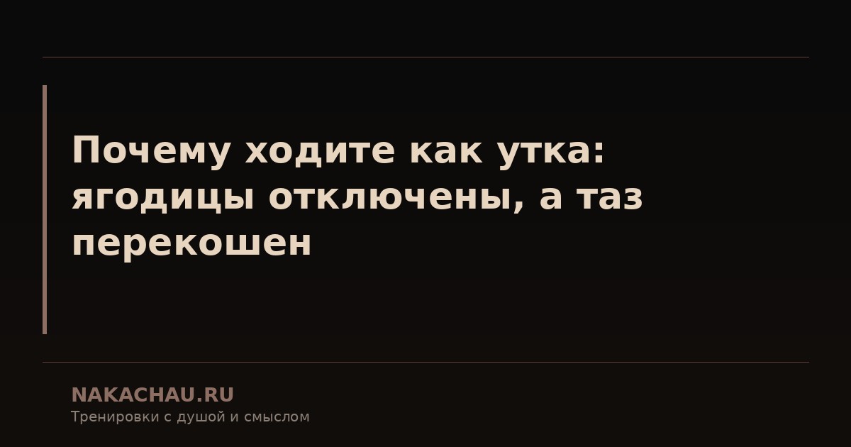 почему ходите как утка