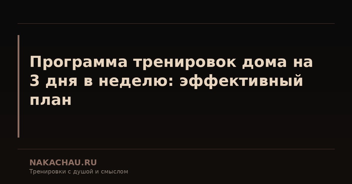 программа тренировок