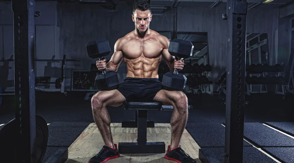 программа для спортзала на рельеф