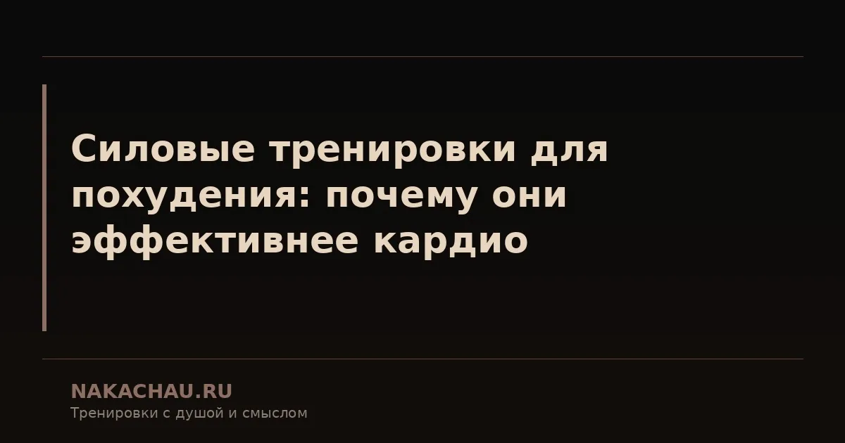 силовые тренировки это