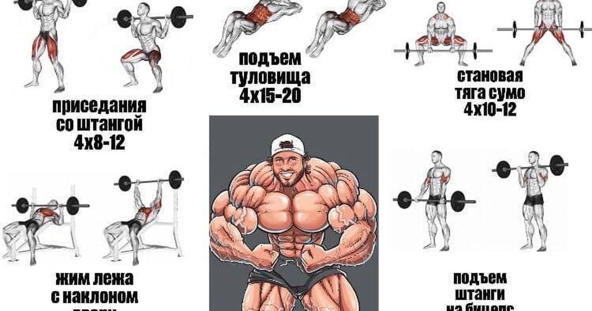 тренировка на все тело