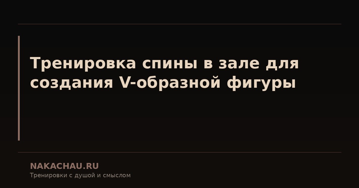 тренировка спины в зале для