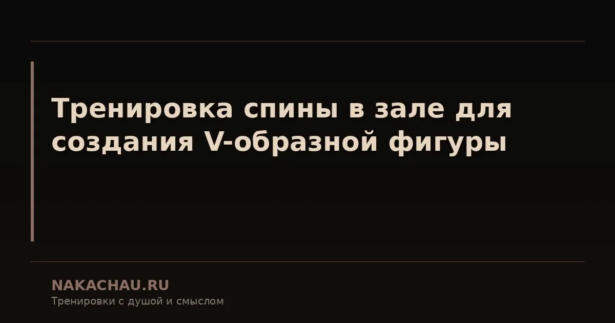 тренировка спины в зале для