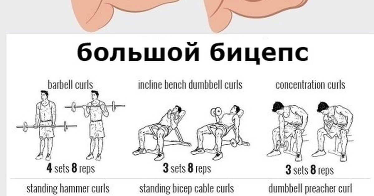 упражнения для мышц