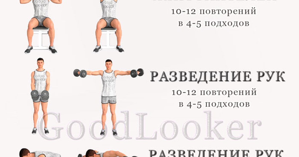 упражнения с гантелями