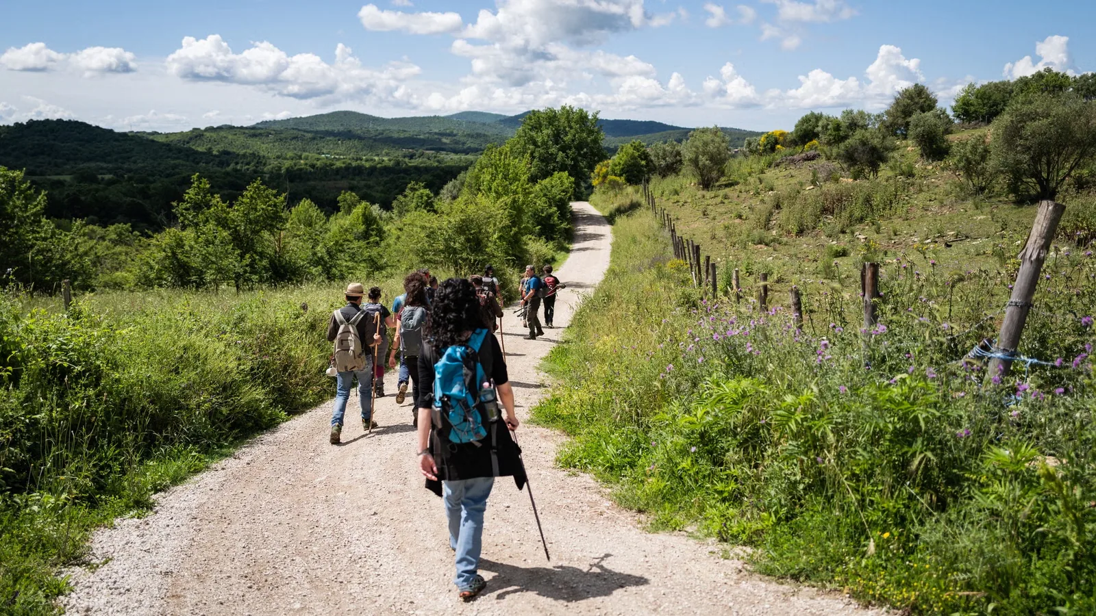 Северный участок Via Francigena: 50 миль без толп и сервиса